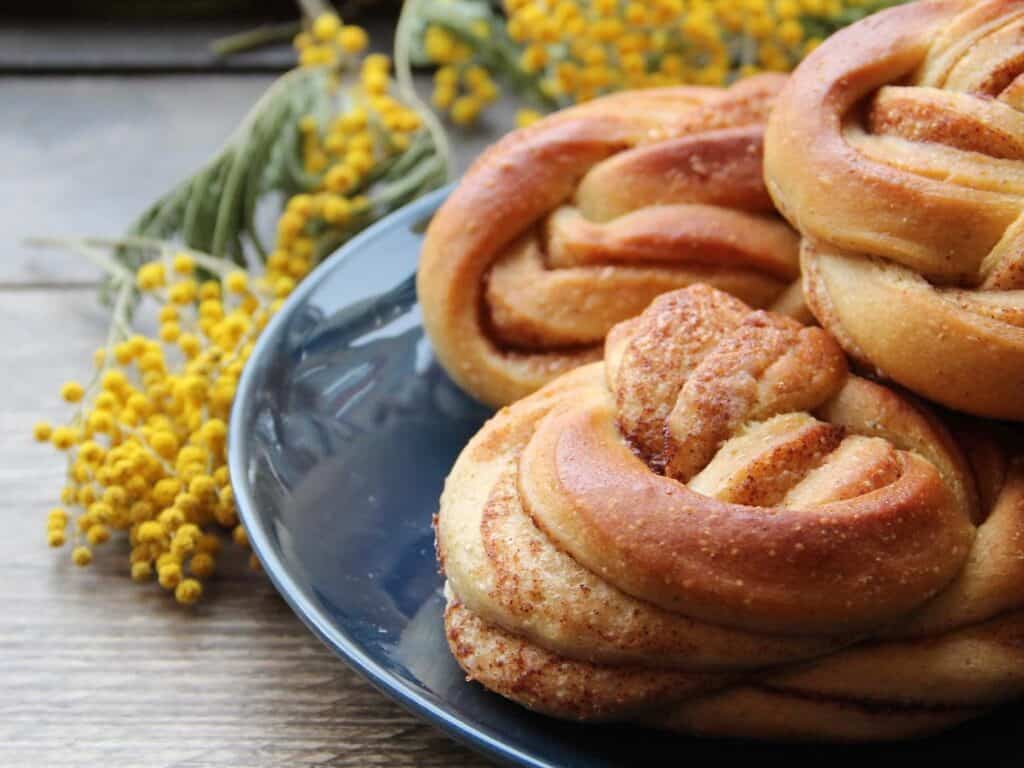 best cafes in Stoke Newington Yellow Warbler London